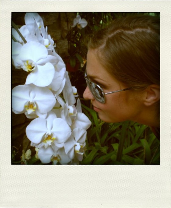 kissieflower